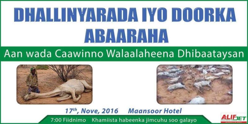 15102396_1119388568108693_521869040_o