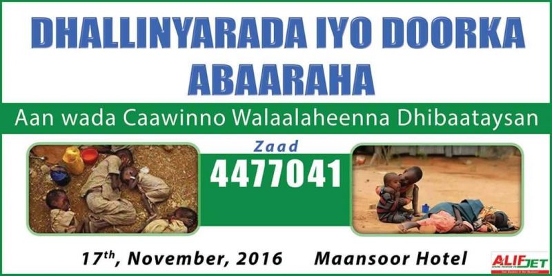 15126114_1119388148108735_1169938741_o